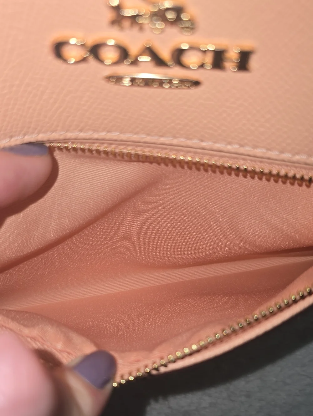 Coach euc blush